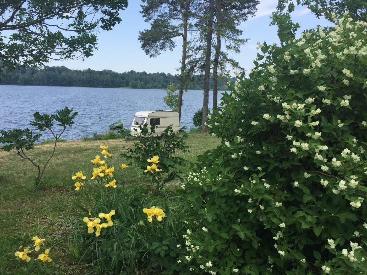 Campsite Senci Koknese